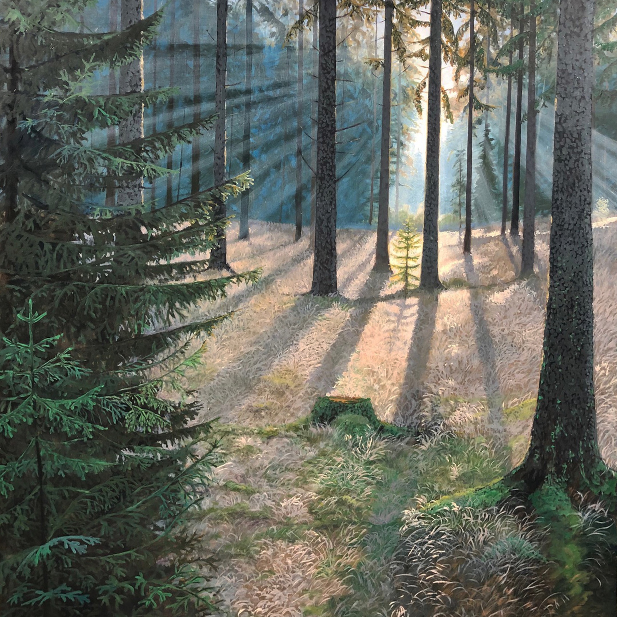 5591 Orshulta 93x93 cm. (klicka på bild HD)  12.000 SEK